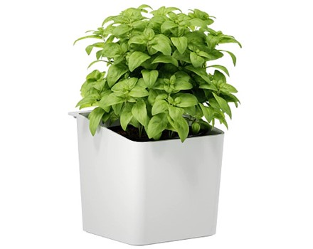 Masterbild TE-70044-00000